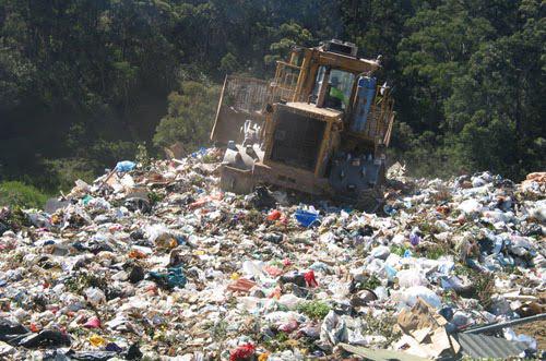 Anti-Environmentalism - Grocery Bags